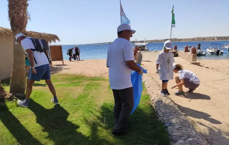 Sustainability in Every Step: From Sunlight to Seashore