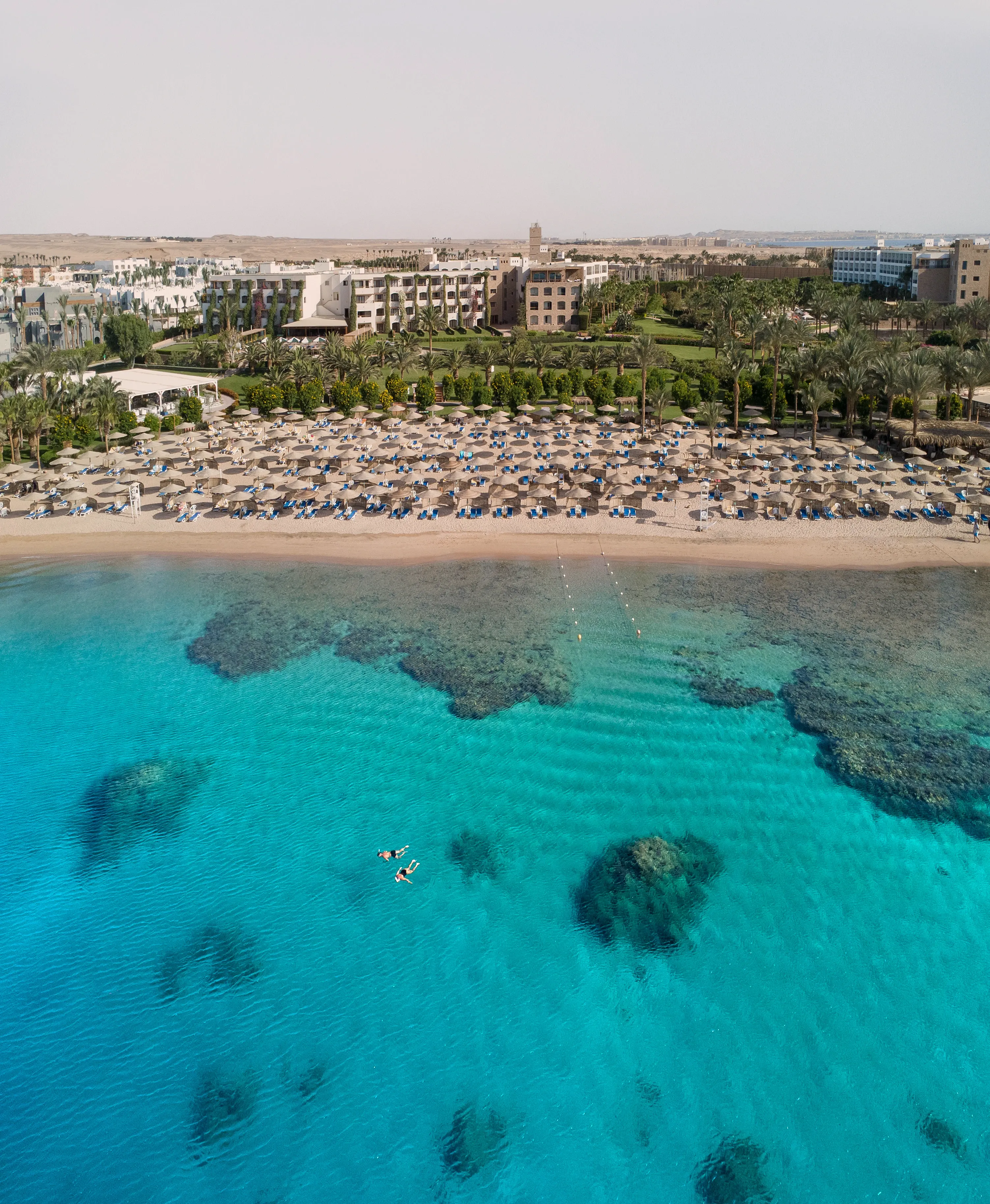 Where the Red Sea Touches the Soul